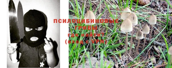 дмт Алексеевка