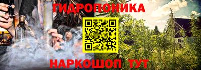 бошки Тверь