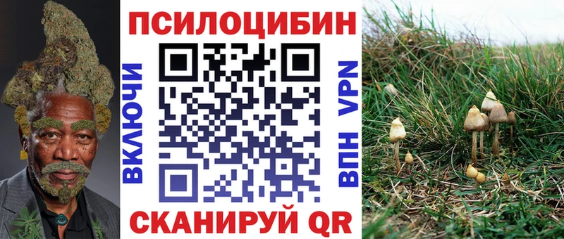 Псилоцибиновые грибы ЛСД где можно купить мега Киреевск